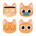 bundle of cute kittys stickers