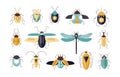 Bundle of different colorful geometric insects with wings and antennas isolated on white background - bugs, beetles