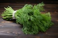 A bundle of dill sprigs with feathery leaves Royalty Free Stock Photo