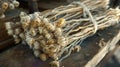 A bundle of dried chrysanthemum buds tied together with a string waiting to be steeped in hot water