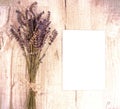 Bundle of dried lavender flowers and shit of paper with copy sp