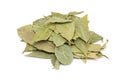 Bundle of dried leaves laurel