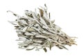 Bundle of dried sage salvia officinalis herb