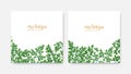 Bundle of elegant square backdrops or labels with green Miracle Tree or Moringa oleifera foliage. Set of natural