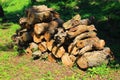 A bundle of firewood Royalty Free Stock Photo