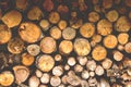 A bundle of firewood for the winter, background, texture Royalty Free Stock Photo