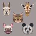 bundle of five animals domestics and wild set icons Royalty Free Stock Photo