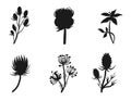 Bundle of Floral leaves and Flower isolated vector isolated Silhouettes Royalty Free Stock Photo