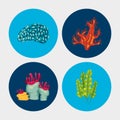 bundle of four coral sea life nature icons