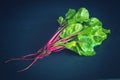 A bundle of fresh beet roots