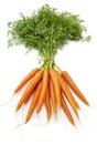 Bundle fresh carrots Royalty Free Stock Photo