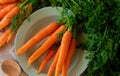 A bundle of fresh carrots with greens Royalty Free Stock Photo