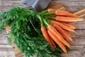 A bundle of fresh carrots with greens on wooden cutting board Royalty Free Stock Photo