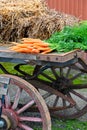 Bundle of fresh carrots on old wooden wagon Royalty Free Stock Photo