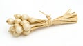A bundle of fresh enoki mushrooms tied neatly together Royalty Free Stock Photo