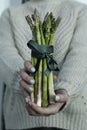 Bundle of Fresh Green Asparagus Held by a Woman\'s Hands