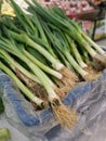 bundle of the fresh green china Leeks Royalty Free Stock Photo