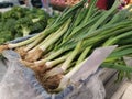 bundle of the fresh green china Leeks Royalty Free Stock Photo