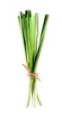 Bundle of fresh green chives on white background.