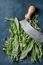 Bundle of fresh Italian herbs Royalty Free Stock Photo