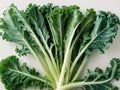 A bundle of fresh kale leaves arranged neatly. Royalty Free Stock Photo