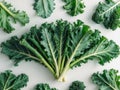 A bundle of fresh kale leaves arranged neatly. Royalty Free Stock Photo