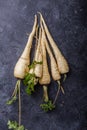 Bundle of fresh organic parsnip  over gray texture background Royalty Free Stock Photo