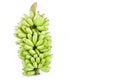 bundle of fresh raw Lady Finger banana on white background healthy Pisang Mas Banana fruit food isolated