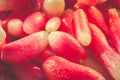 Bundle fresh red radish background radish