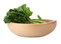 Bundle of fresh spinach in bowl isolated Royalty Free Stock Photo