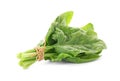 Bundle of fresh spinach isolated