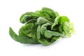 Bundle of fresh spinach isolated Royalty Free Stock Photo