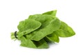 Bundle of fresh spinach isolated Royalty Free Stock Photo