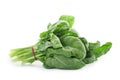 Bundle of fresh spinach isolated