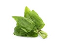 Bundle of fresh spinach isolated Royalty Free Stock Photo