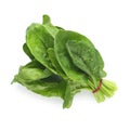 Bundle of fresh spinach isolated on white, Royalty Free Stock Photo