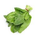 Bundle of fresh spinach isolated on white, Royalty Free Stock Photo