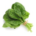 Bundle of fresh spinach isolated on white Royalty Free Stock Photo