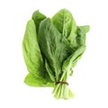 Bundle of fresh spinach isolated on white Royalty Free Stock Photo