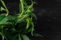 Bundle of fresh tarragon estragon isolated on dark stone background. Selective focus, Close up, Macro Royalty Free Stock Photo
