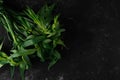 Bundle of fresh tarragon estragon isolated on dark stone background. Selective focus, Close up, Macro Royalty Free Stock Photo