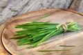 Fresh homegrown green barleygrass - healthy nutritional supplement Royalty Free Stock Photo
