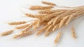 A Bundle of Golden Wheat.AI generated image Royalty Free Stock Photo