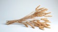A Bundle of Golden Wheat.AI generated image Royalty Free Stock Photo