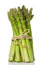 Bundle of green asparagus shoots, upright standing Royalty Free Stock Photo