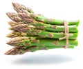 Bundle of green asparagus spears isolated on white background Royalty Free Stock Photo