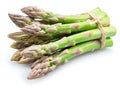 Bundle of green asparagus spears isolated on white background Royalty Free Stock Photo