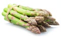 Bundle of green asparagus spears isolated on white background Royalty Free Stock Photo