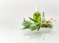 Bundle with herbs and bottles with extracts. Oil alcohol and water. Royalty Free Stock Photo