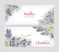Bundle of horizontal botanical backgrounds with coniferous tree branches and cones, juniper berries and Merry Christmas